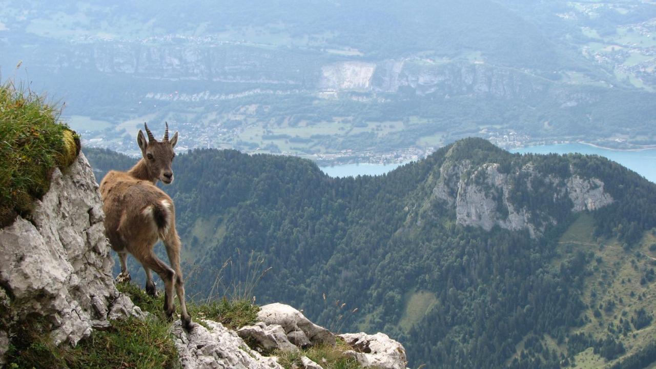 Escale Du Chateau De Promery 1389 Annecy Dış mekan fotoğraf